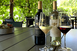Red and white Meadowcroft wines on table