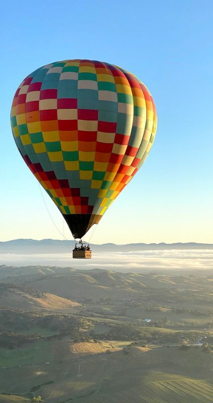 Balloon over vineyard 