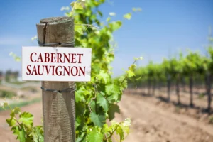 Cabernet Sauvignon Meadowcroft Wines