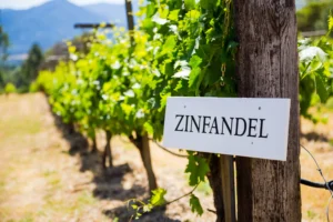 Zinfandel Wines - Meadowcroft Wines