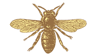 Two Color bee icon