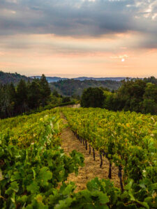 Sunset over Mt Veeder